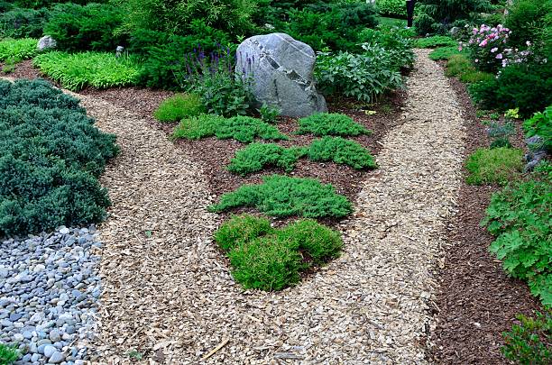 caminho de jardim, com mulch - humus soil - fotografias e filmes do acervo