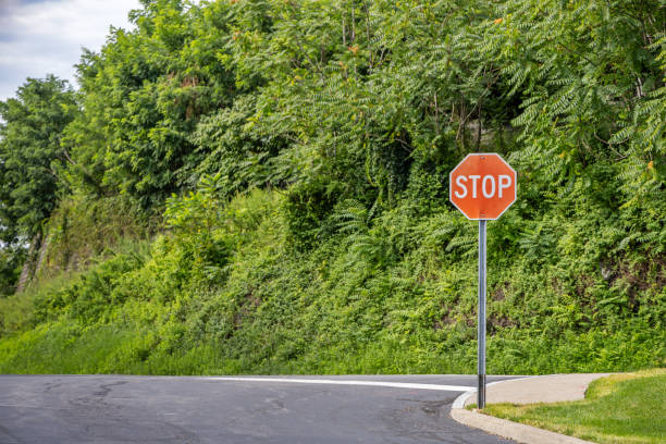 isolated stop sign with blue sky background, road safety