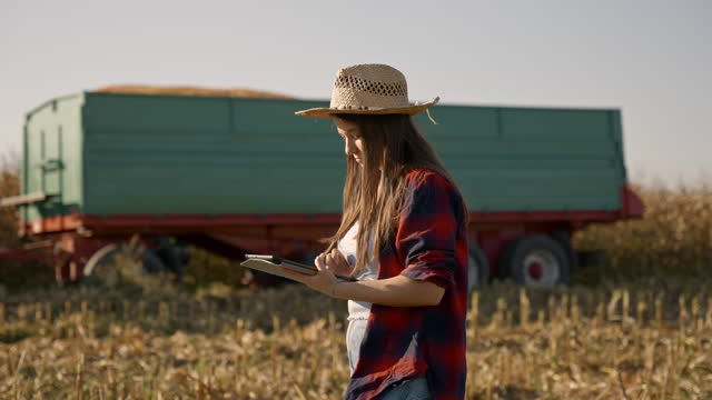 SLO MO Beautiful Agronomist Using Digital Table while Walking along Trailer on Corn Field during Sunny Day