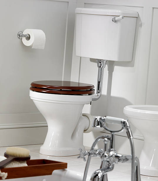 istock Traditional toilet in bathroom interior 171301850