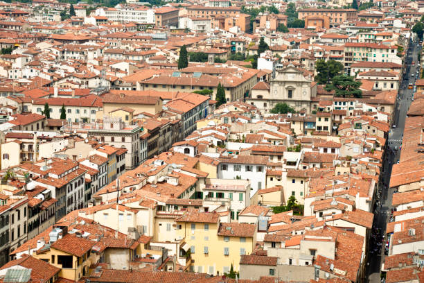 istock Aerial view of Florence 171301958