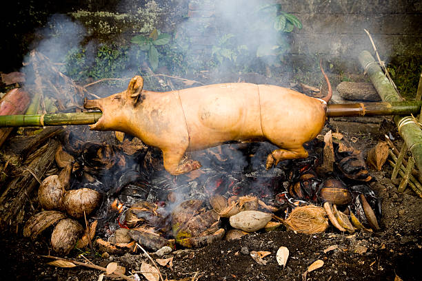 pieczeń wieprzowa - spit roasted roast pork barbecue grill barbecue zdjęcia i obrazy z banku zdjęć