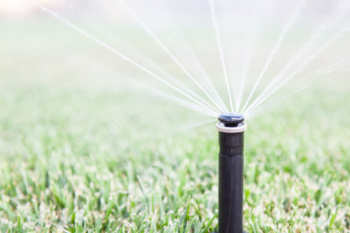 Sprinkler watering yard