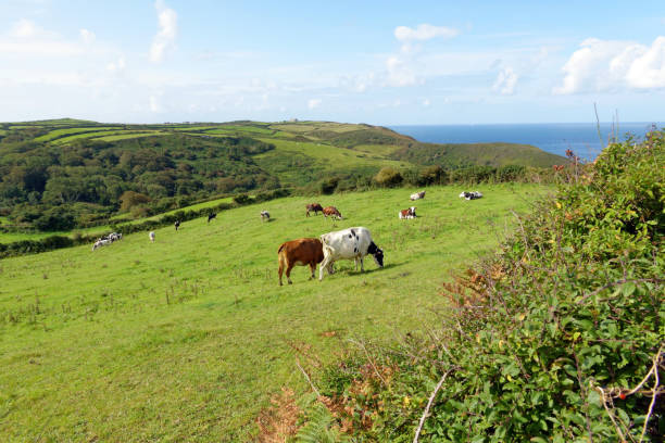 istock Cotentin peninsula in late summer 1713026260