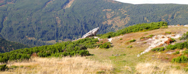 ein atemberaubender blick auf die berge, mit üppig grünen landschaften und einer atemberaubenden sonne. - sky blue grass green stock-fotos und bilder