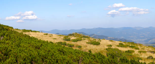 eine malerische sommerlandschaft mit grünen wiesen, bergen und strahlend blauem himmel in einem beschaulichen nationalpark. - sky blue grass green stock-fotos und bilder