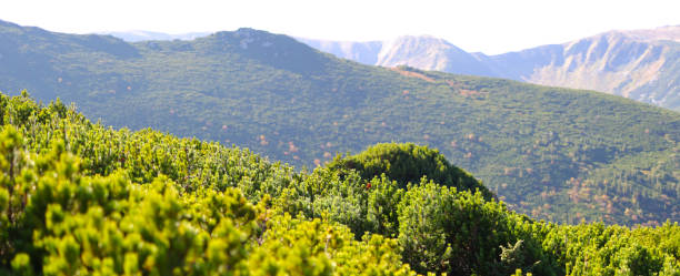 eine malerische mediterrane landschaft mit sanften hügeln, einem charmanten dorf und der schönheit der natur im herbst. - sky blue grass green stock-fotos und bilder