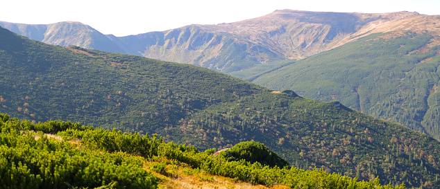 A serene Mediterranean landscape with lush green hills, trees, and a tranquil blue sky.