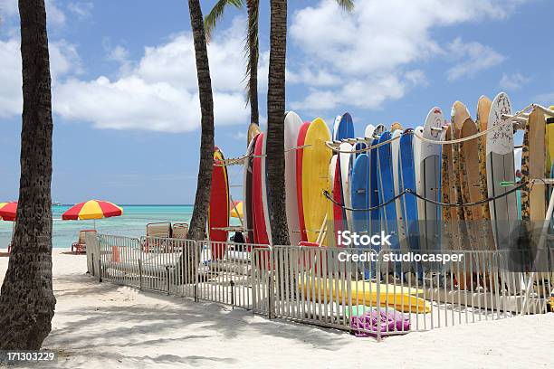 ワイキキ - ハワイ島のストックフォトや画像を多数ご用意 - ハワイ島, ハワイ諸島, サーフィン