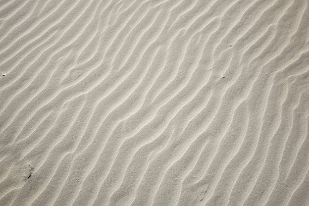 istock Wide view of drifting sand. 171303602