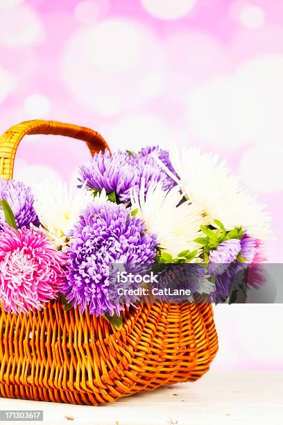 Basket Of Beautiful Spring Flowers Stock Photo - Download Image Now - Arrangement, Aster, Basket