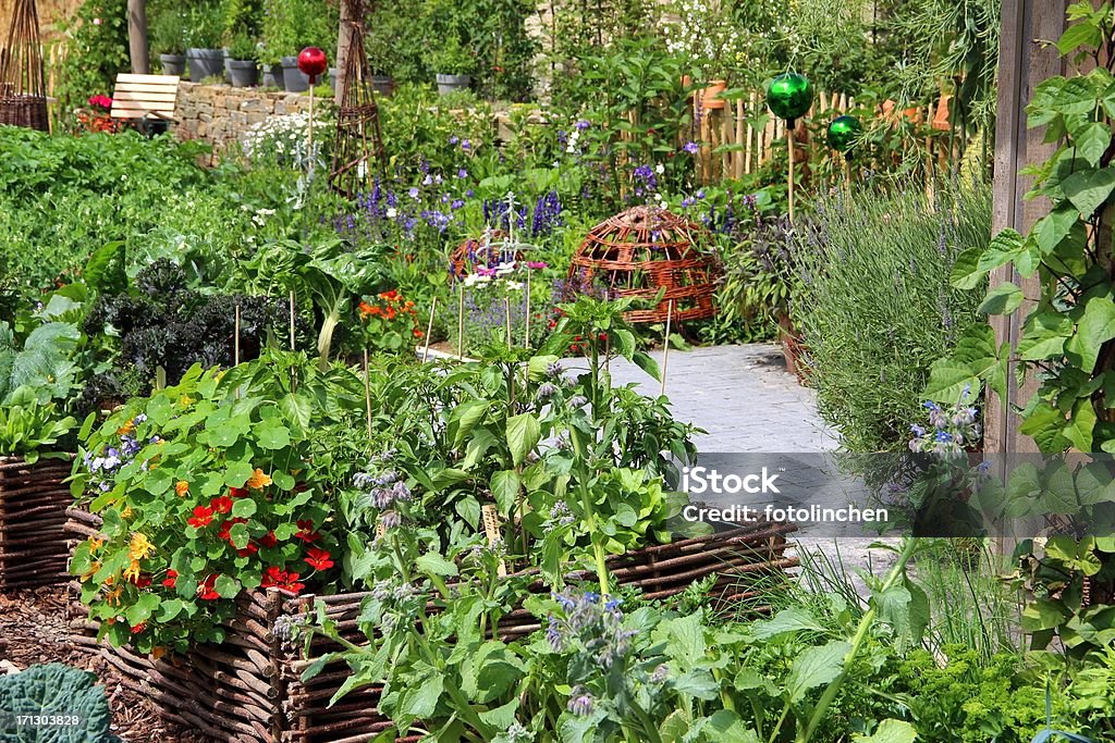 Erbe e verdure - Foto stock royalty-free di Ambientazione tranquilla