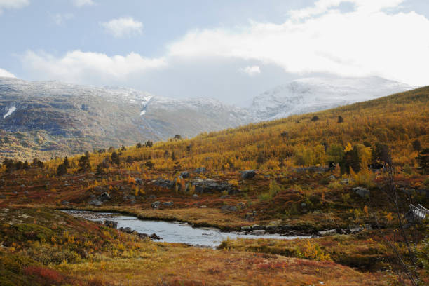 istock Autumn colors and white mist. 171304571