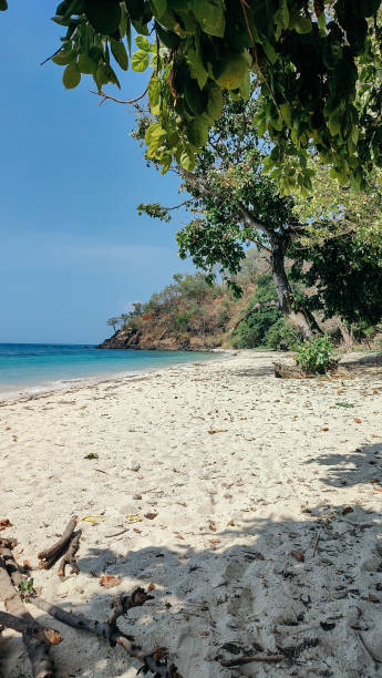 istock natural scenery, beautiful beaches with white sand 1713053055