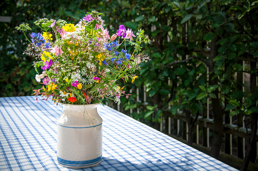 Cut flowers by window