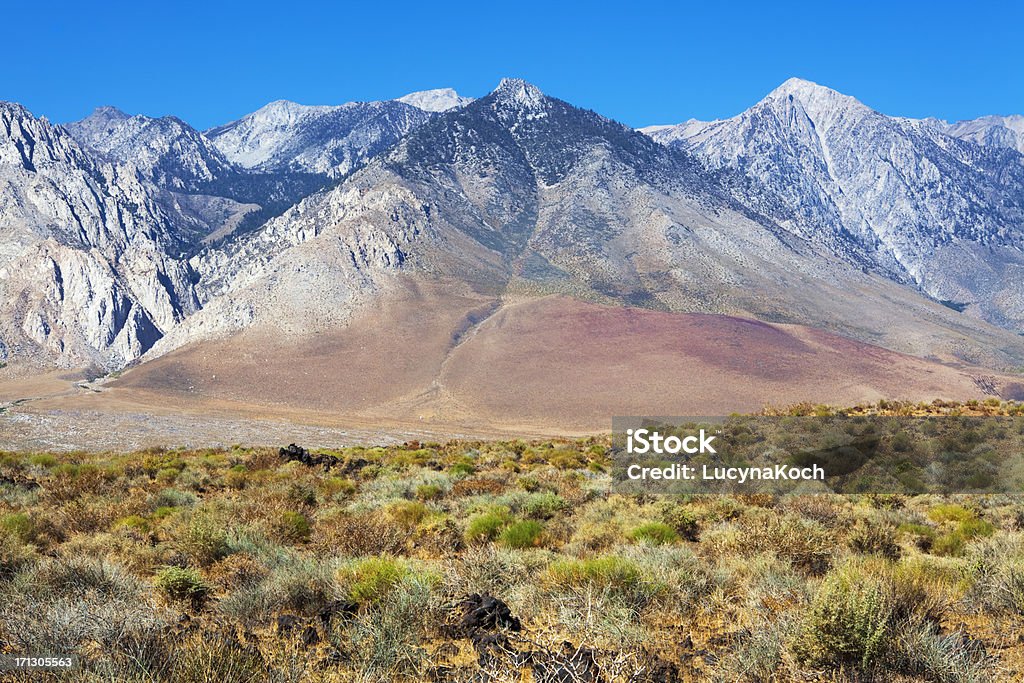 Desert-Landschaft - Lizenzfrei Hoch - Allgemeine Beschaffenheit Stock-Foto