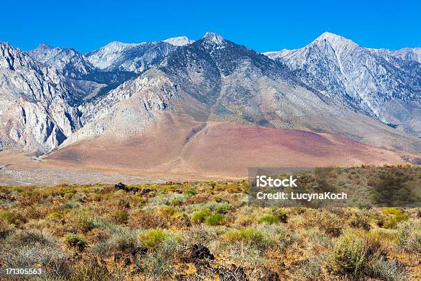 Desertlandschaft Stockfoto und mehr Bilder von Hoch - Allgemeine Beschaffenheit - Hoch - Allgemeine Beschaffenheit, Hoch - Position, Strauch