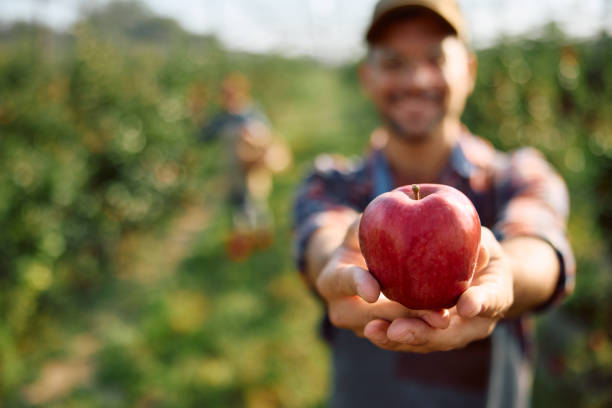istock Organic, ripe and fresh apple! 1713059333
