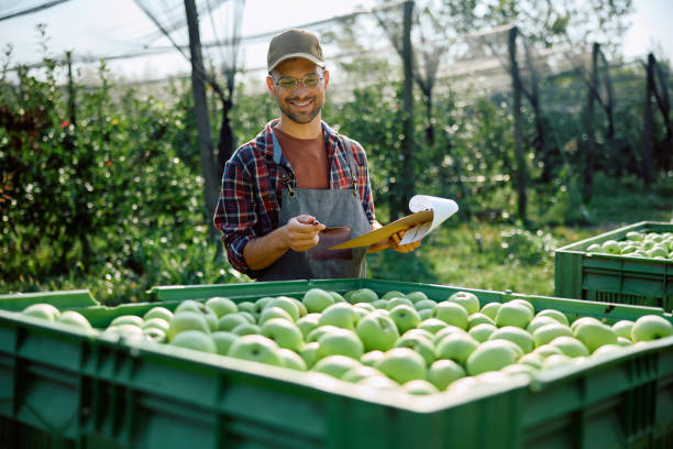 istock Young happy worker by apple fruit crates in the orchard. 1713062232