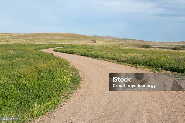 Parque Nacional De Grasslands - Fotografias de stock e mais imagens de Agricultura - Agricultura, Amarelo, América do Norte