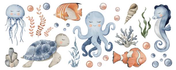Large set of Underwater Animals. Cute undersea bundle with octopus, seahorse, jellyfish, turtle, clownfish, shells, algae, corals and bubbles. Hand drawn watercolor illustration of sea Fish for nursery, wall sticker, pack, baby shower, book Large set of Underwater Animals. Cute undersea bundle with octopus, seahorse, jellyfish, turtle, clownfish, shells, algae, corals and bubbles. Hand drawn watercolor illustration of sea Fish for nursery, wall sticker, pack, baby shower, book. kelp gull stock illustrations