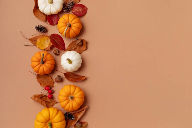 fondo de vacaciones de acción de gracias de otoño de calabazas, coloridas hojas secas y decoraciones de otoño vista superior. - squash pumpkin orange japanese fall foliage fotografías e imágenes de stock