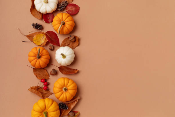 Autumn Thanksgiving holiday background from pumpkins, colorful dried leaves and fall decorations top view. stock photo