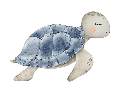 Cute Sea Turtle in blue and grey color on isolated background. Underwater Animal. Sketch of swimming marine tortoise. Tropical reptile. Hand drawn watercolor illustration of undersea life for nursery, poster, wall sticker, baby shower, book.