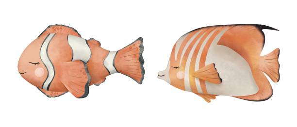 ilustrações de stock, clip art, desenhos animados e ícones de set of anemonefish or clownfish in orange, black and white color and aquarium fish. underwater cute baby. hand drawn watercolor illustration of sea fish. tropical fish for nursery, wall sticker, card - animals and pets isolated objects sea life