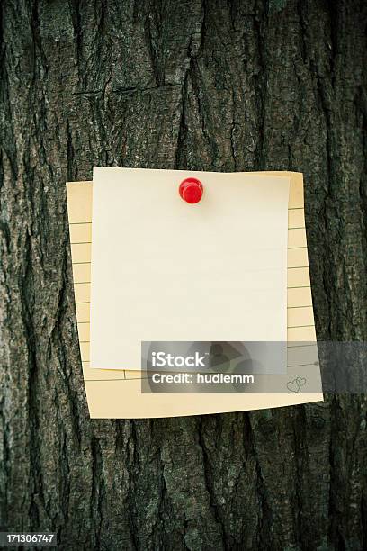 Klebezettel Auf Baum Stockfoto und mehr Bilder von Alt - Alt, Altertümlich, Ankündigung