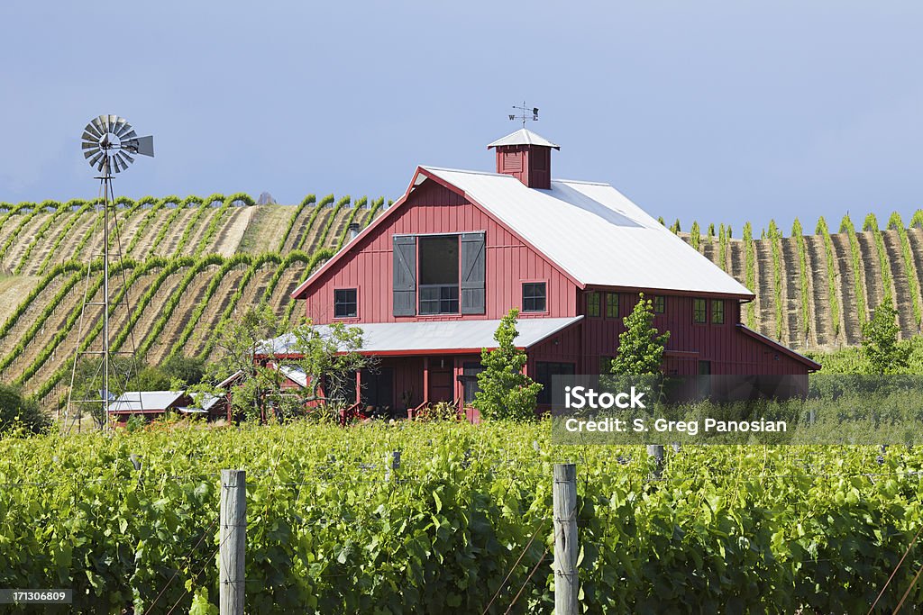 Ferme de la Napa Valley - Photo de Napa Valley libre de droits