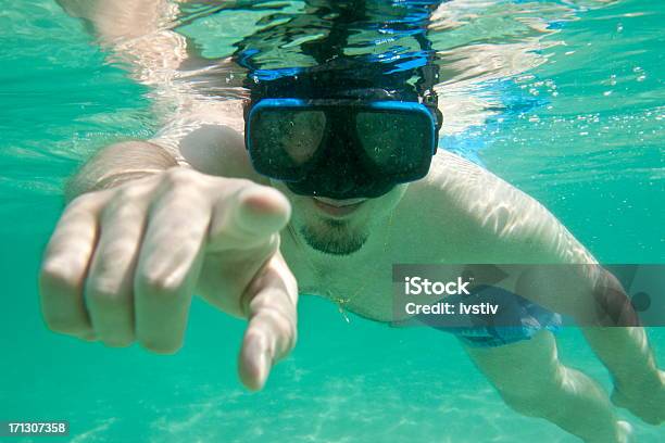 Человек Дайвинг Подводное — стоковые фотографии и другие картинки Активный образ жизни - Активный образ жизни, Бирюзовый, Веселье