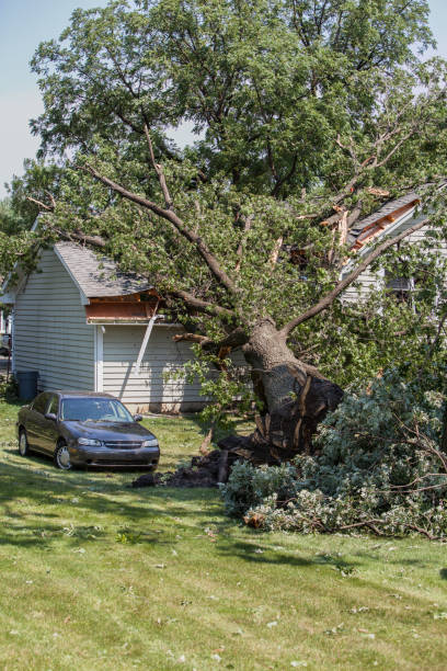 istock mighty oak falls on house vert 171307791