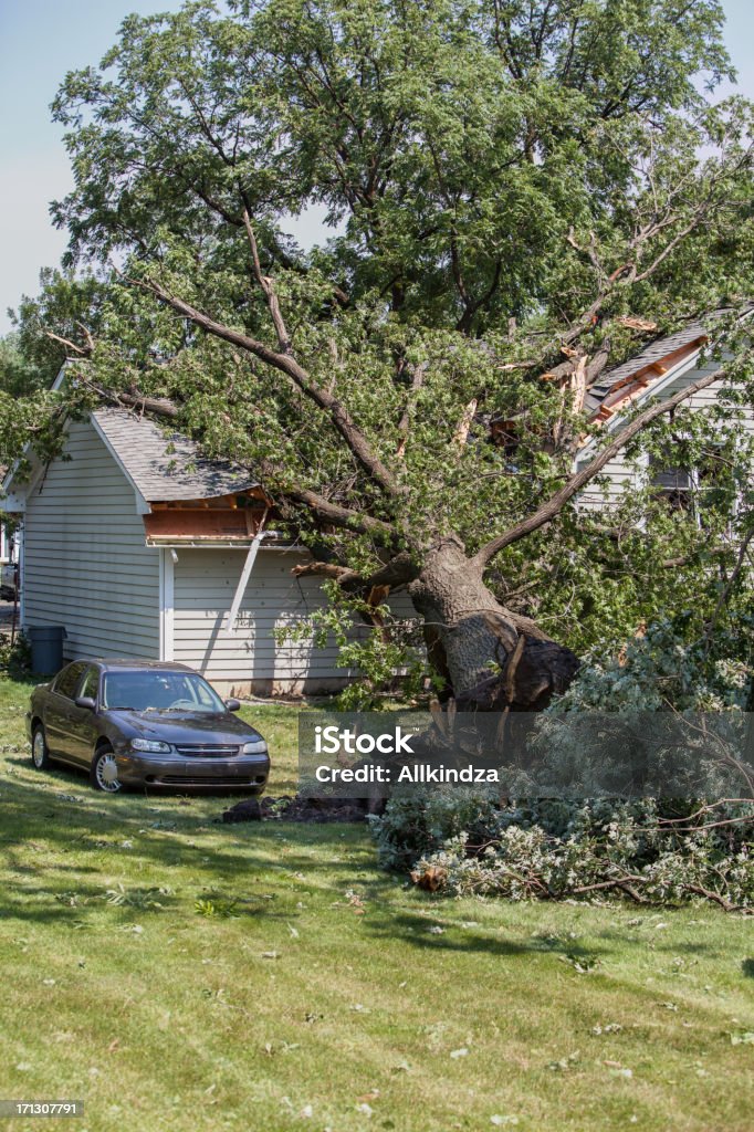mighty oak falls on house vert a large oak tree rests on top of a house that it has just fallen on shortly after it succumbed to High winds in a summer thunderstorm here in the chicago suburbs Tree Stock Photo