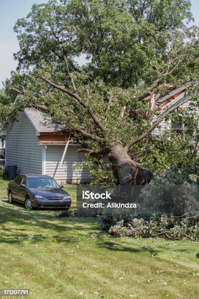 Mighty Oak Falls On House Vert Stock Photo - Download Image Now - Tree, House, Falling