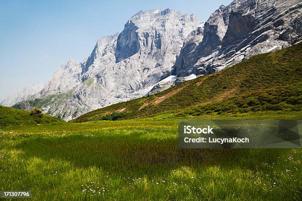 Frühling In Den Bergen Stockfoto und mehr Bilder von Alpen - Alpen, Berg, Berggipfel