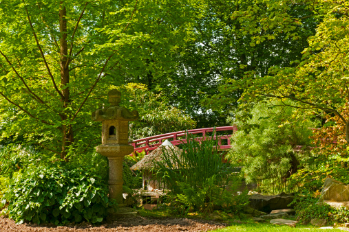 Wooden bridge on the pond  at city  park.