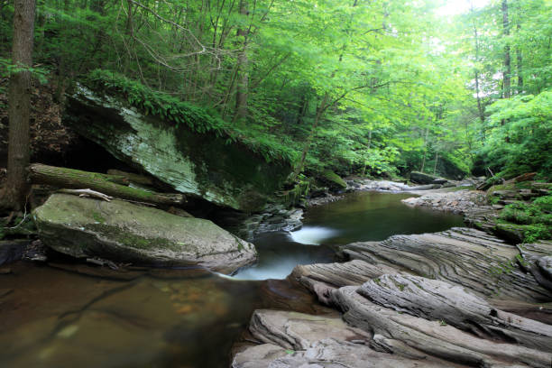 istock Kitchen Creek at Ricketts Glen 171308074