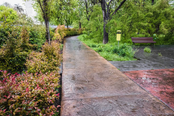 A flowery urban park on a lonely rainy day.