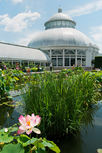 The Palmenhaus Schönbrunn is a large greenhouse in Vienna, Austria featuring plants from around the world.