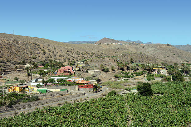 istock fields and agriculture in central mountains of Gran Canaria (Spain) 171308578