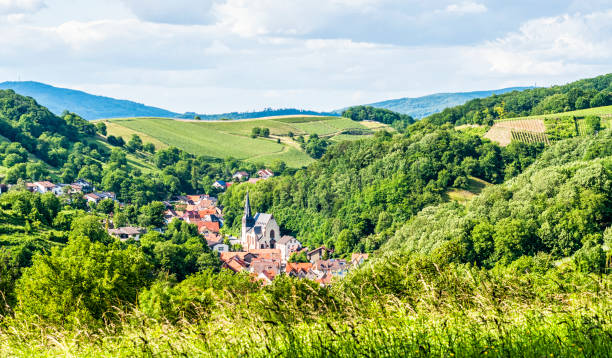 odenwald 、ドイツで - german culture germany vineyard village ストックフォトと画像