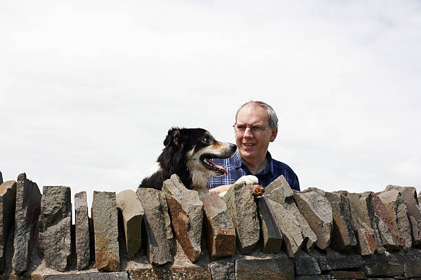 istock Mature man and dog behind stone wall 171308671
