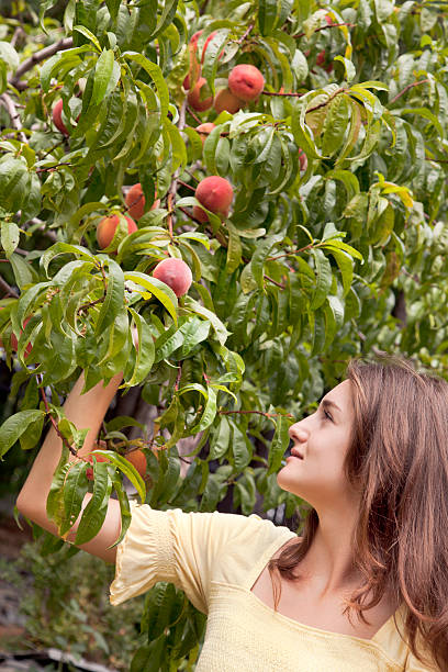 istock Young woman picking fruit 171308713