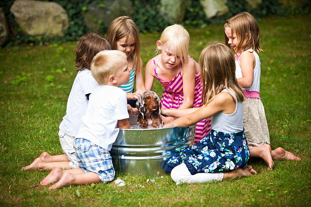 Group of Children Giving Puppy a Bath stock photo