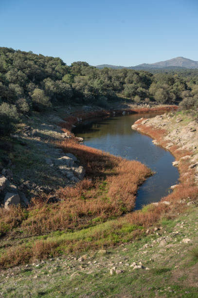istock A river flows through a wooded area, with a waterfall cascading down a mountainside in the distance. 1713091470