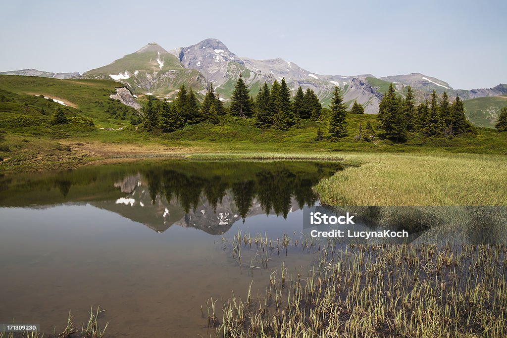 Frühling lacke auf die Berge - Lizenzfrei Alpen Stock-Foto
