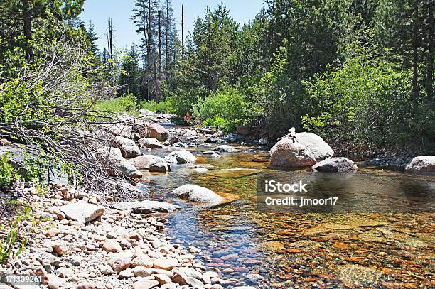 H Lyons Creek Foto de stock y más banco de imágenes de Agua - Agua, Aire libre, California del Norte