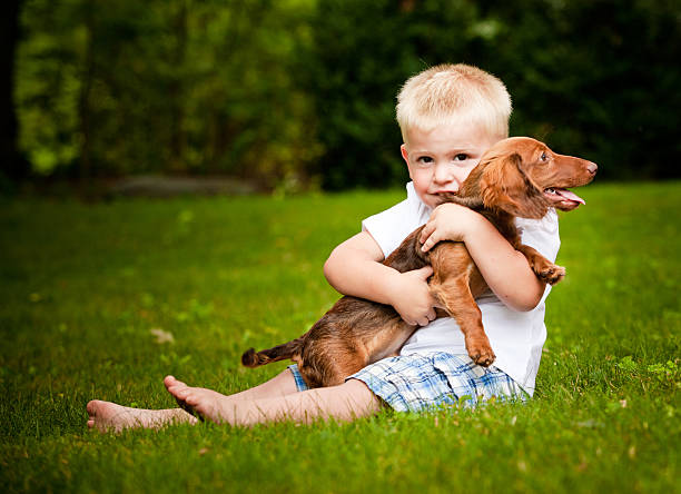 Little boy with his Puppy stock photo