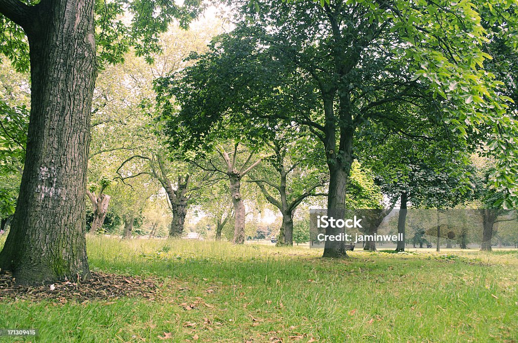 park with trees and grass Victoria Park - London Stock Photo